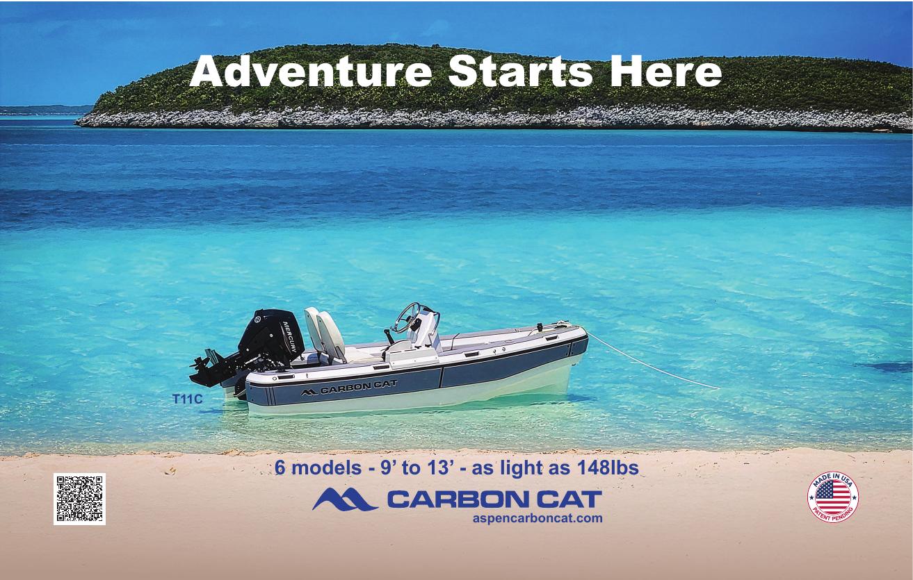 Carbon Cat Bahamas print ad